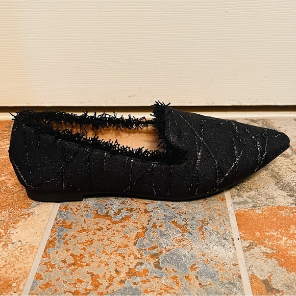 🖤NWOB! Fancy Pointed Toe Black with Silver Metallic Beading, Fringed Flat! - Picture 3 of 12